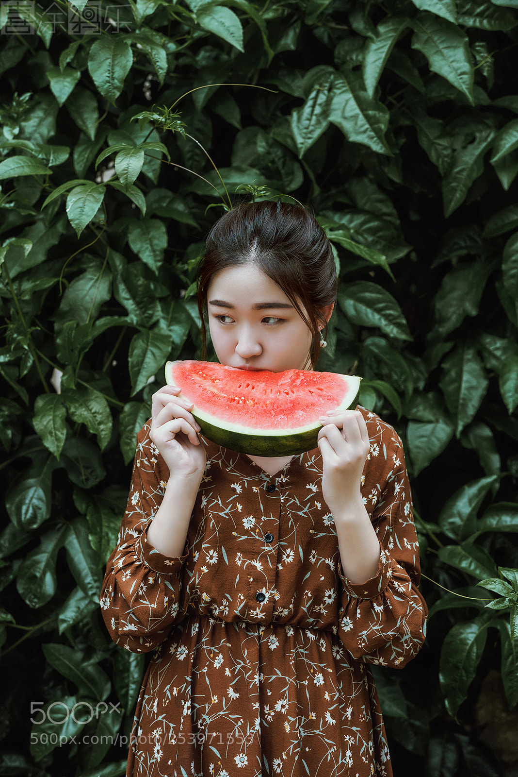 Nikon D810 sample photo. 吃瓜的季节到了 photography