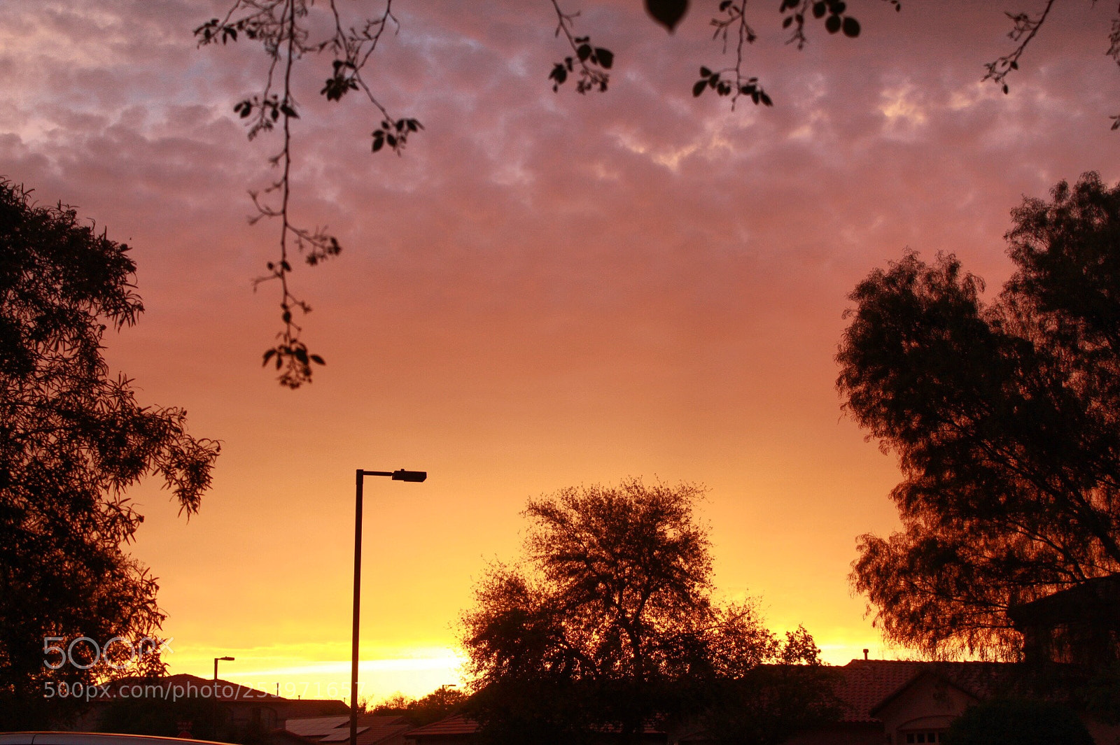 Canon EOS 1300D (EOS Rebel T6 / EOS Kiss X80) sample photo. Gorgeous arizona skies need photography