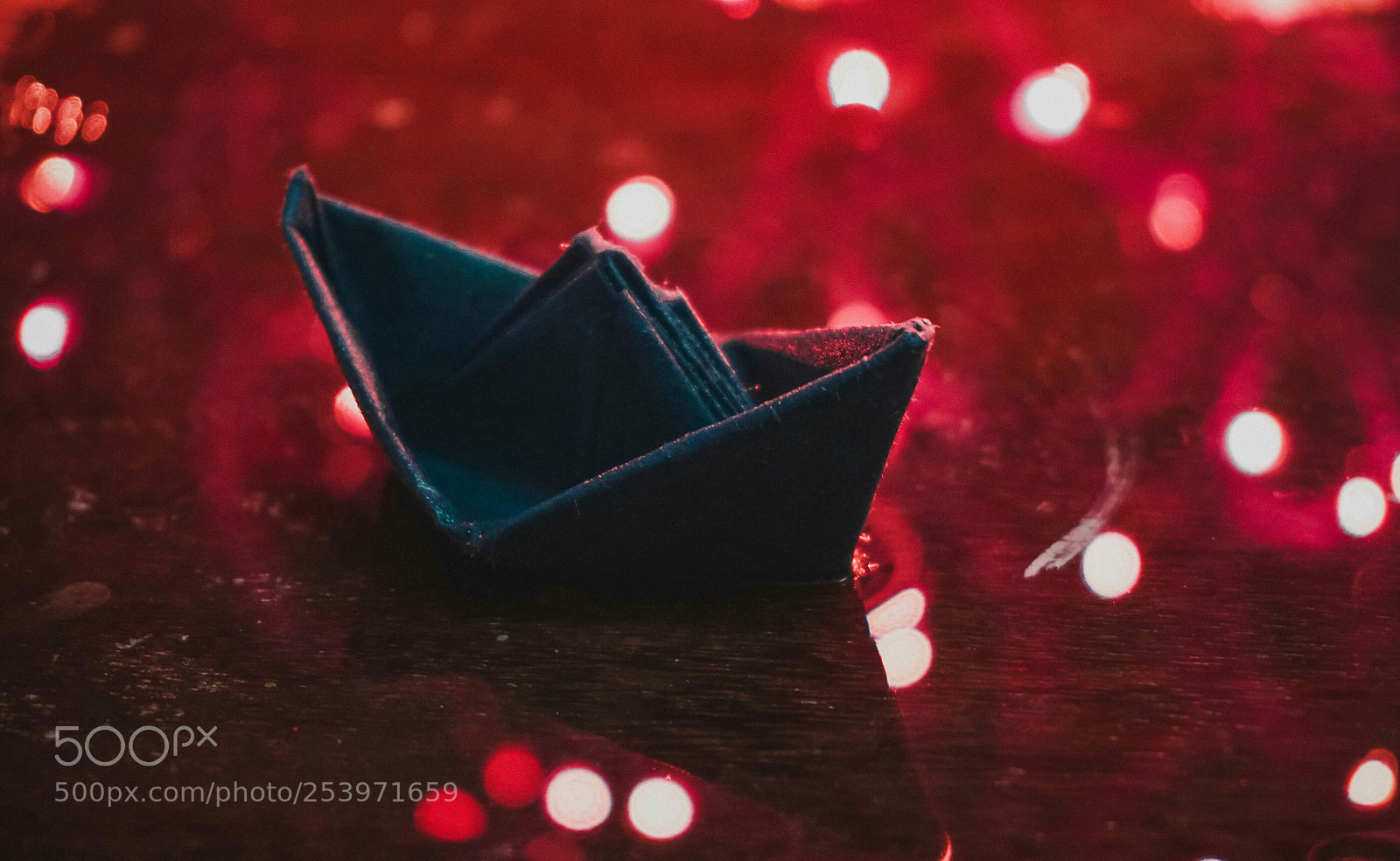 Sony a6000 sample photo. Untitled photography