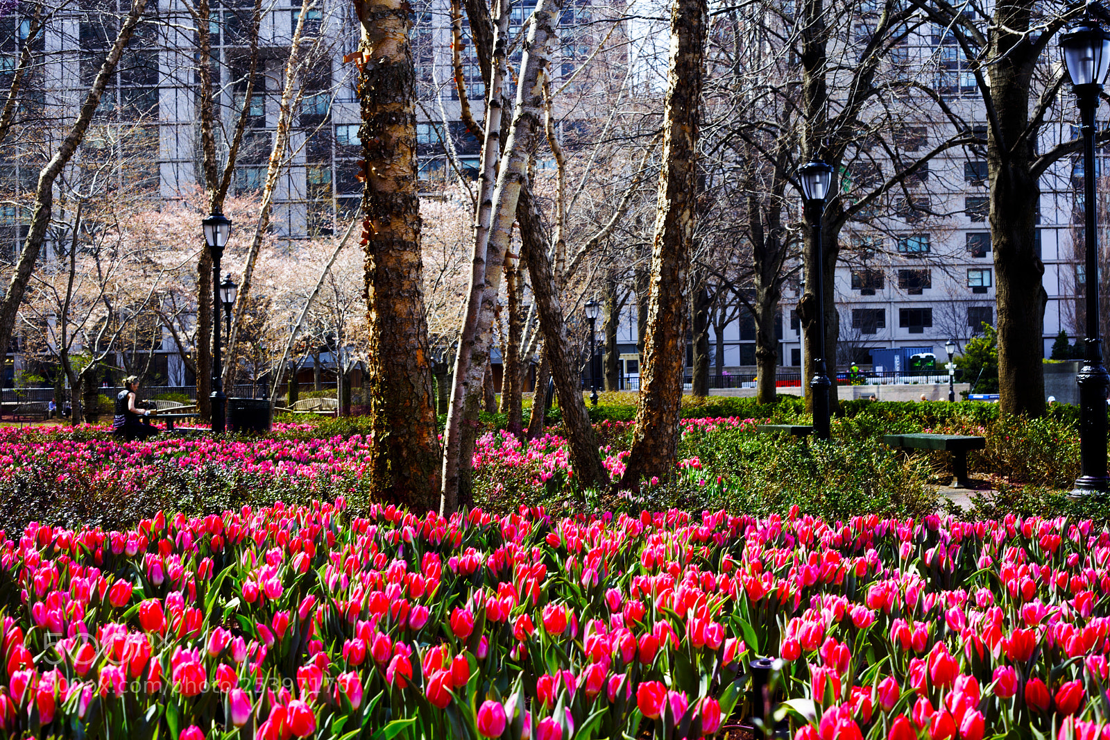 Canon EOS 5D Mark II sample photo. Mg photography