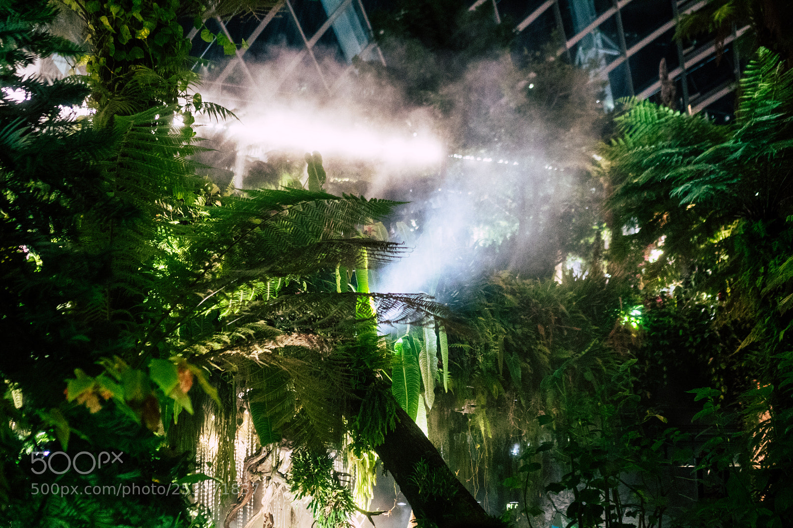 Sony a6300 sample photo. Misting plants photography