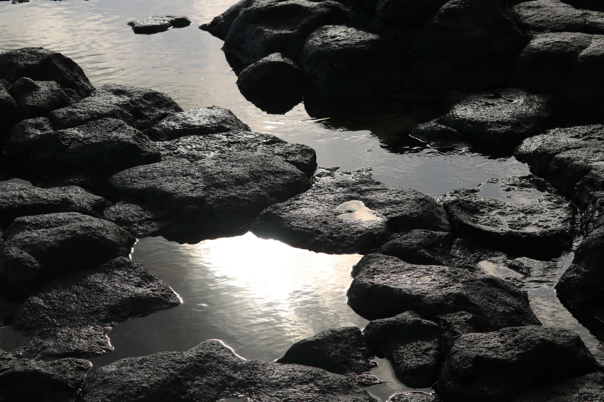 Canon EF-S 55-250mm F4-5.6 IS STM sample photo. Img photography