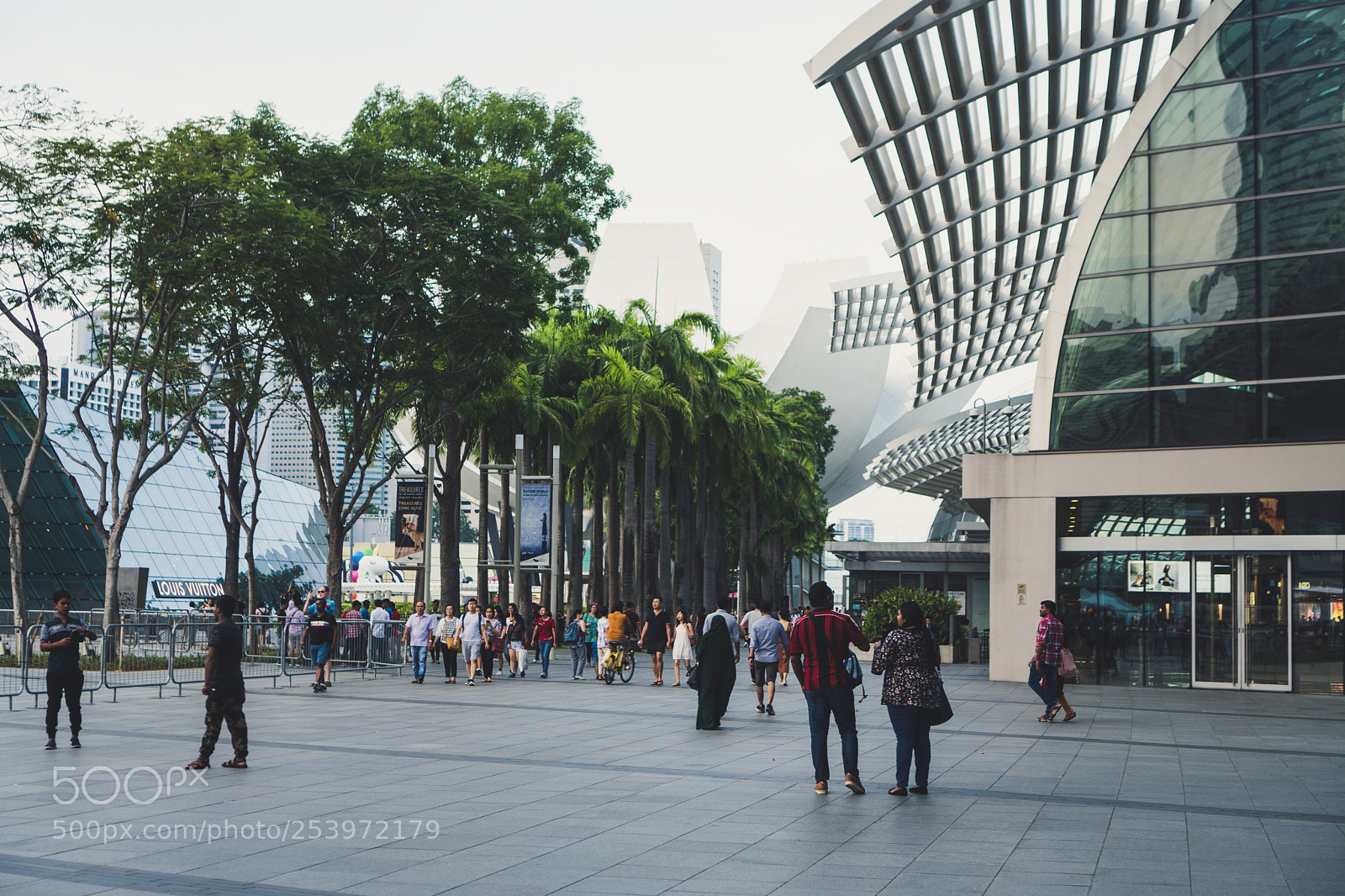 Sony a6300 sample photo. Outside photography