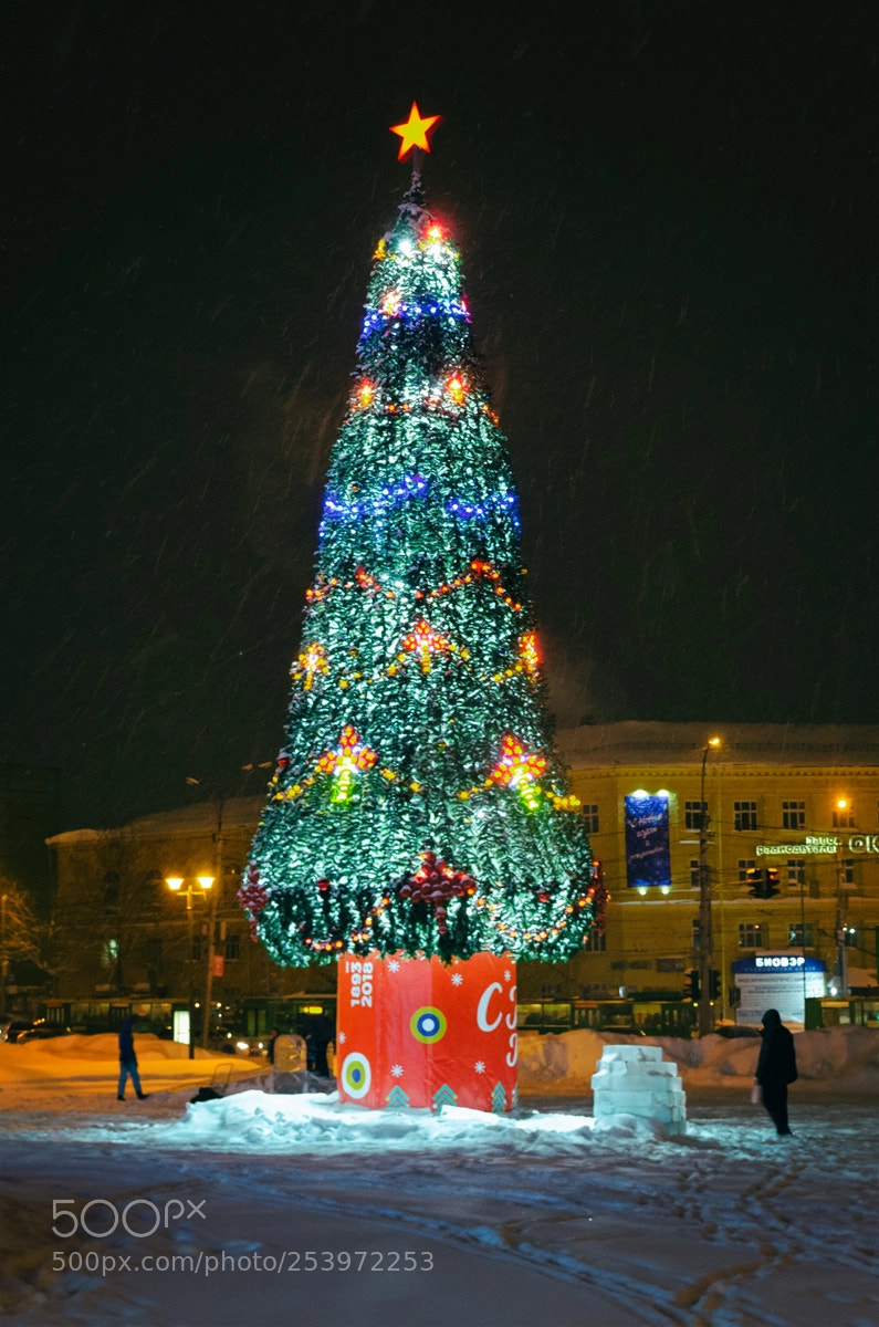 Nikon D7000 sample photo. Елка возле ГПНТБ photography