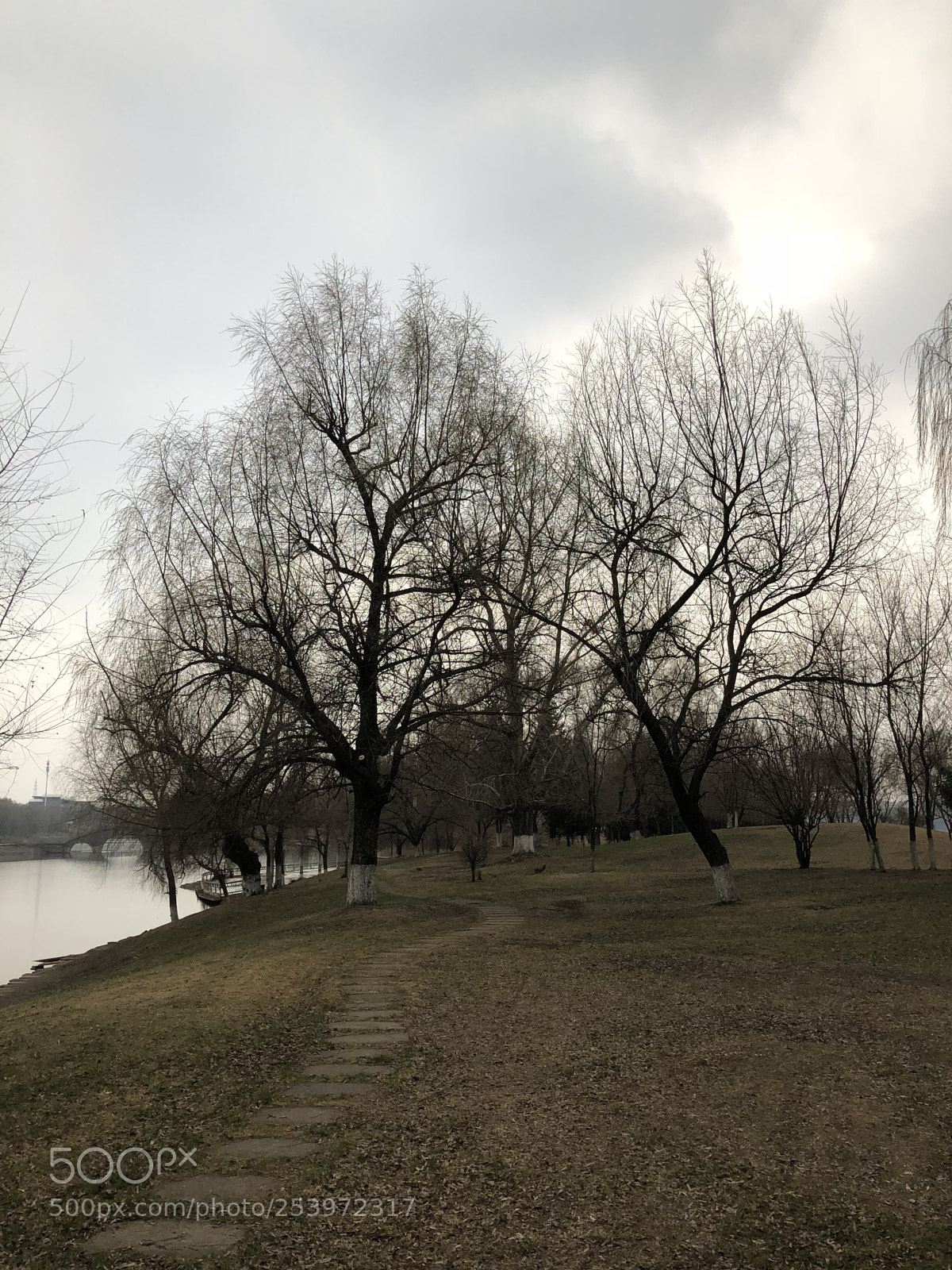 Apple iPhone X sample photo. Water's edge photography