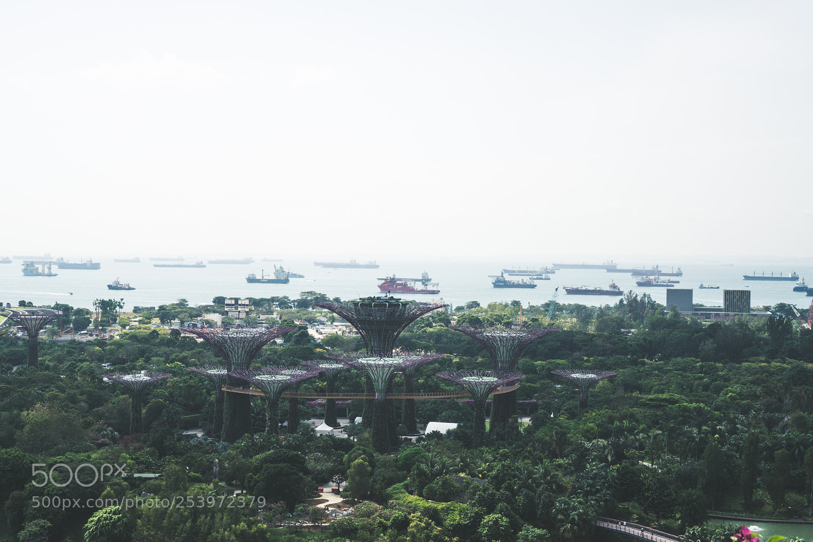 Sony a6300 sample photo. Pirates photography