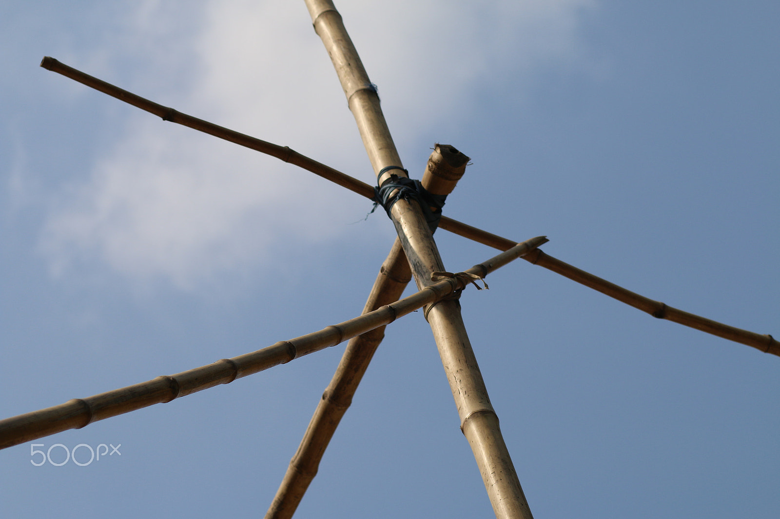 Canon EOS 70D + Canon EF 85mm F1.8 USM sample photo. Bamboo photography