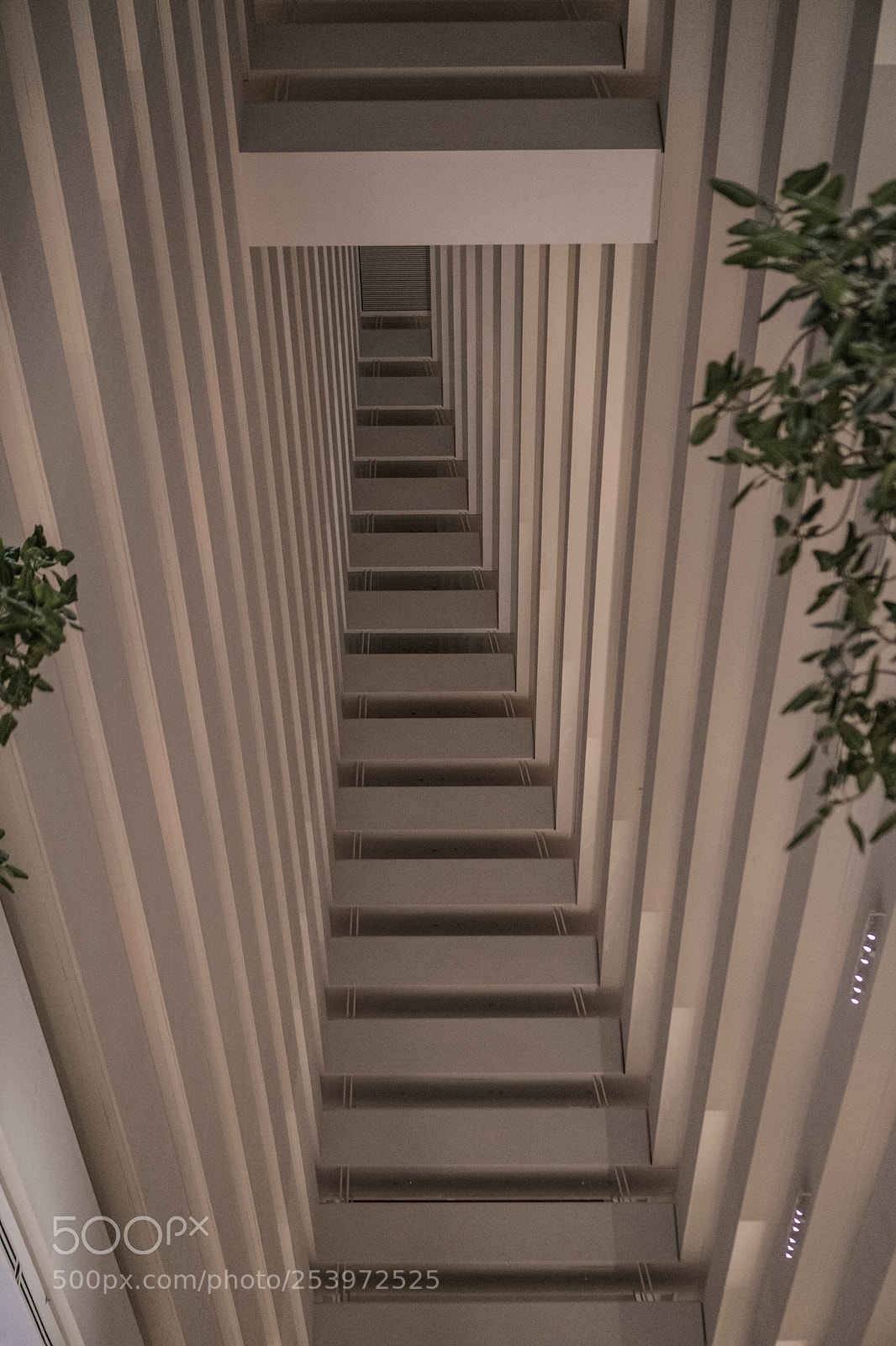 Sony a6300 sample photo. Rooms photography