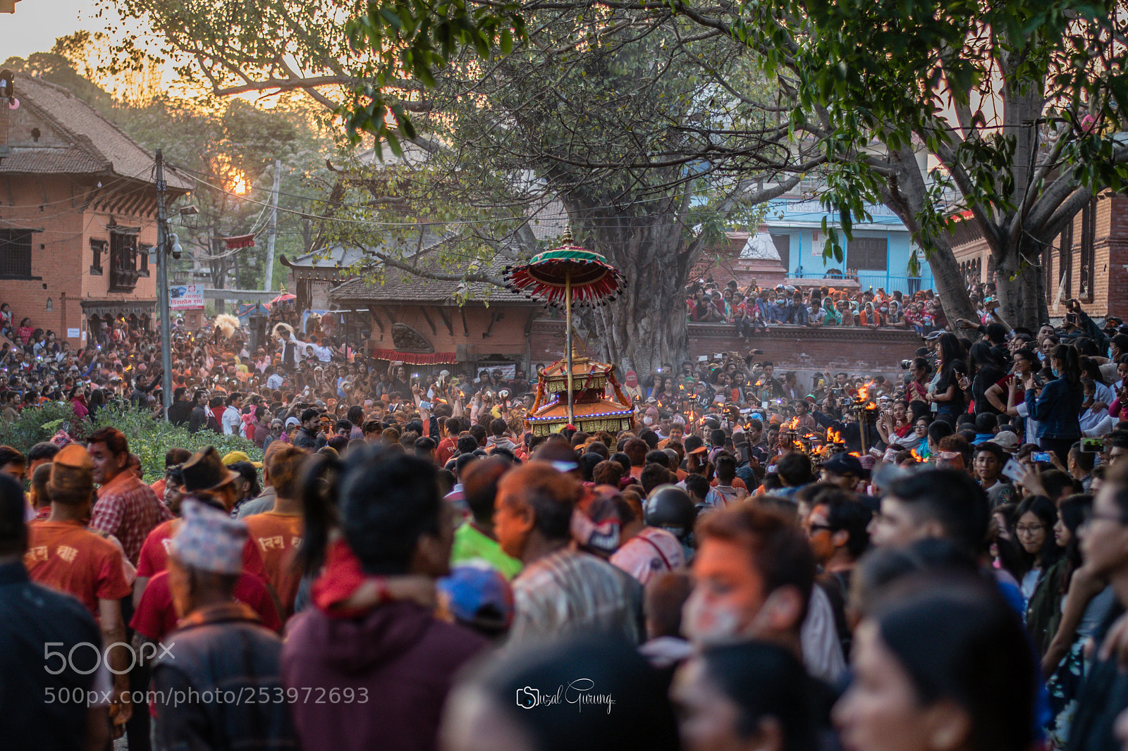 Nikon D5300 sample photo. Sindoor jatra photography