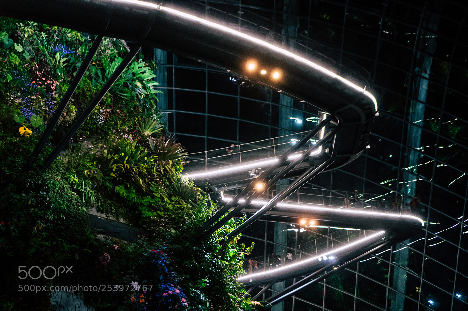 Sony a6300 sample photo. Walkway photography