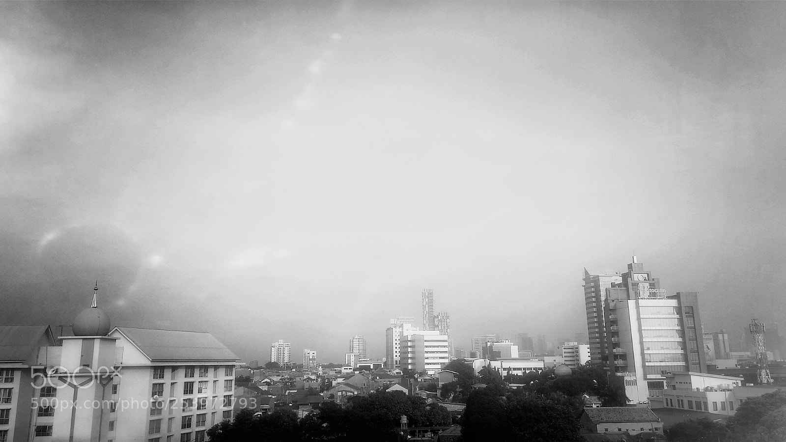 Xiaomi Mi A1 sample photo. Black and white photography