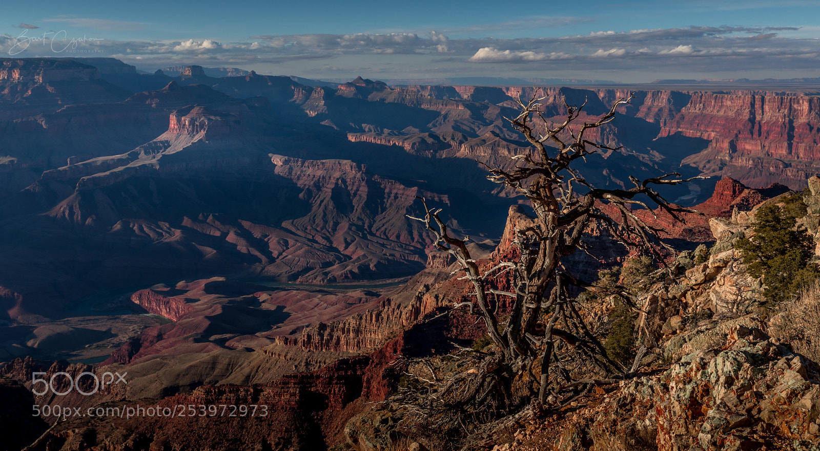 Canon EOS 5D Mark IV sample photo. Lipan point dead tree photography