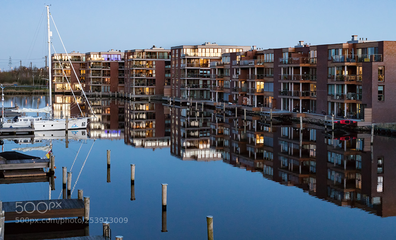 Canon EOS 6D Mark II sample photo. Reflecion photography