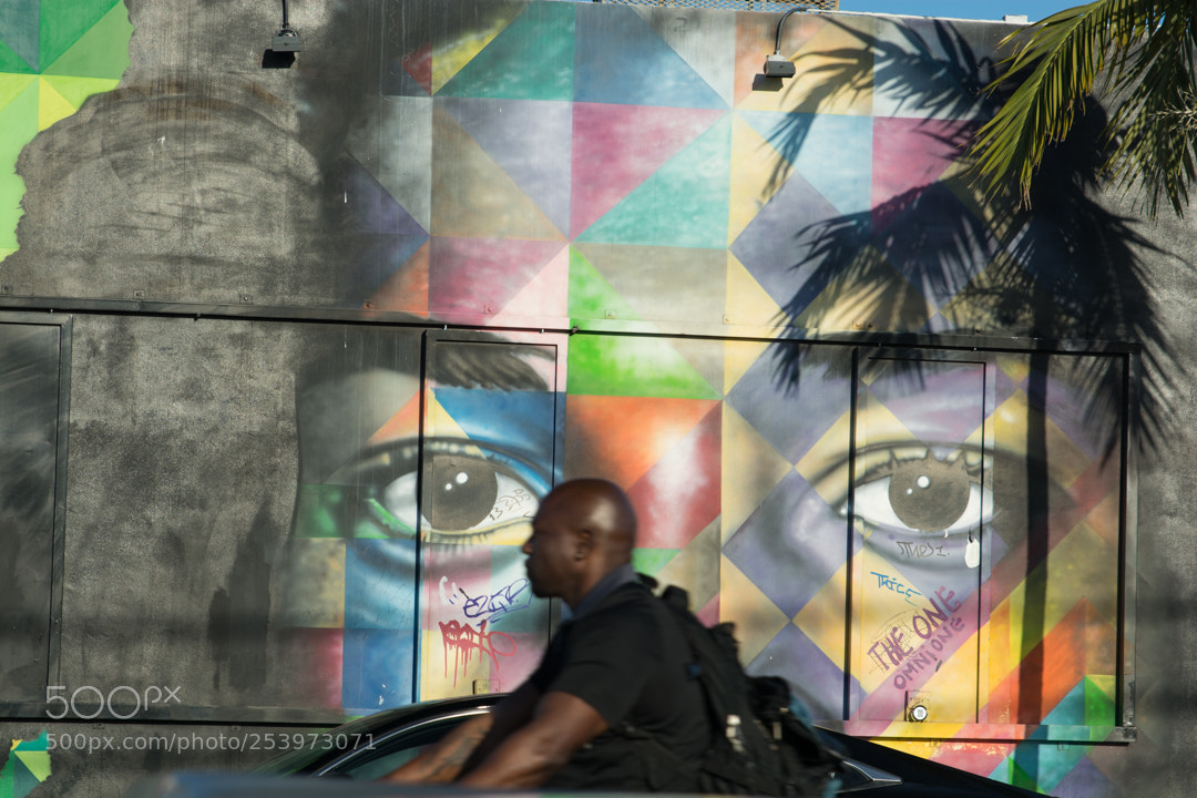 Nikon D7100 sample photo. Untitled photography