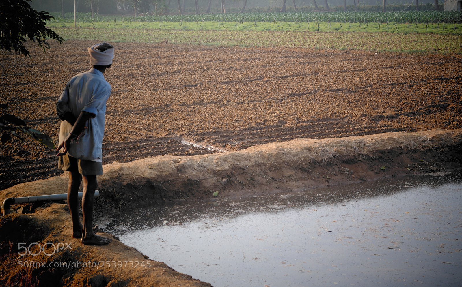 Samsung NX2000 sample photo. Life on the farm photography