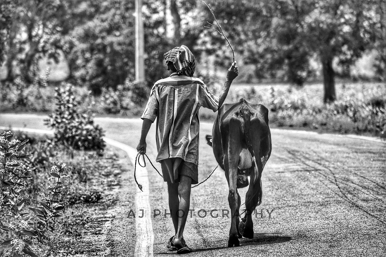 Nikon D5300 sample photo. Life in a village photography