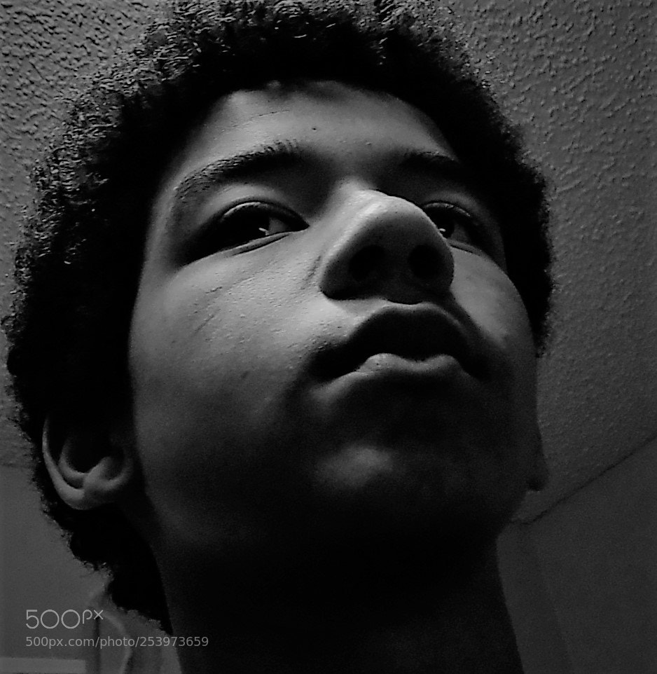 Nikon COOLPIX L340 sample photo. Julian photography