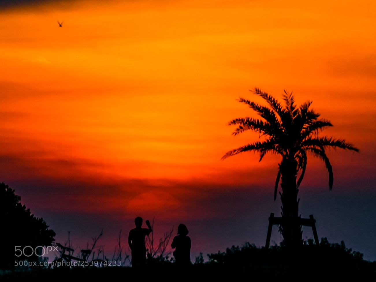Canon EOS 5DS sample photo. Untitled photography
