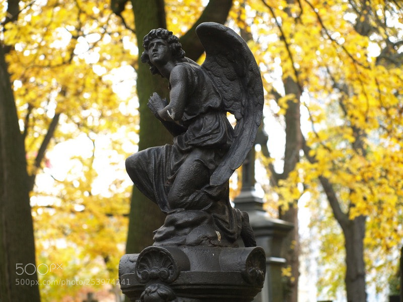 Olympus E-510 (EVOLT E-510) sample photo. Black angel photography
