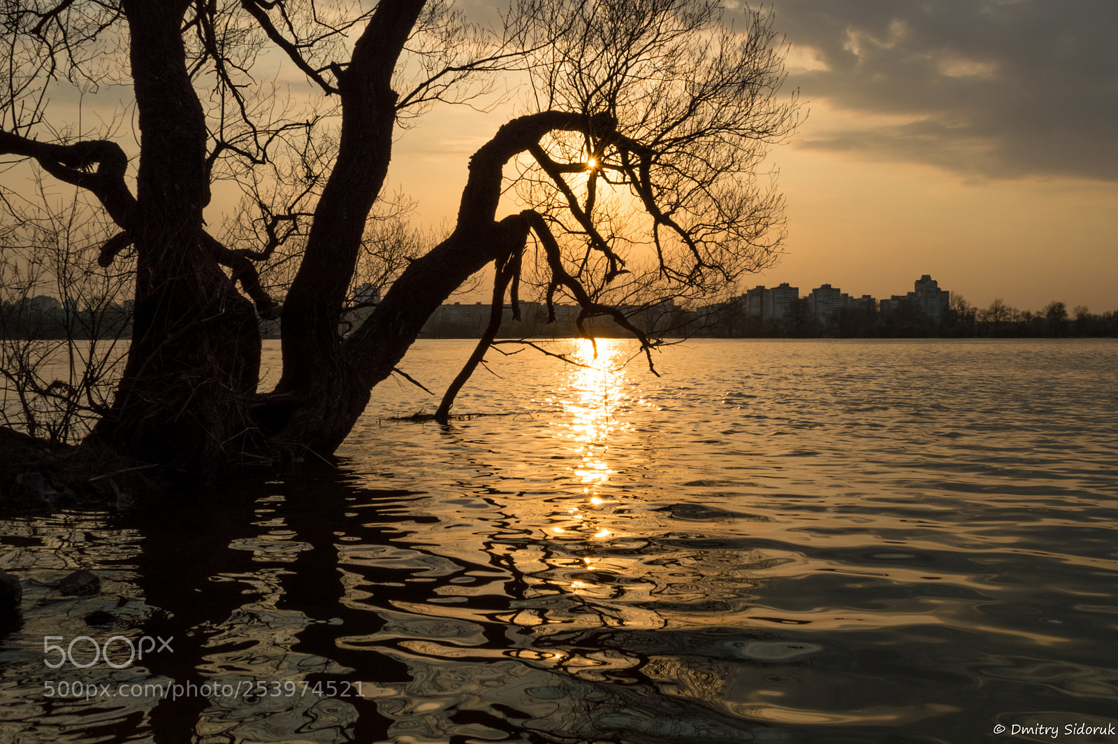 Nikon D3200 sample photo. Golden water photography