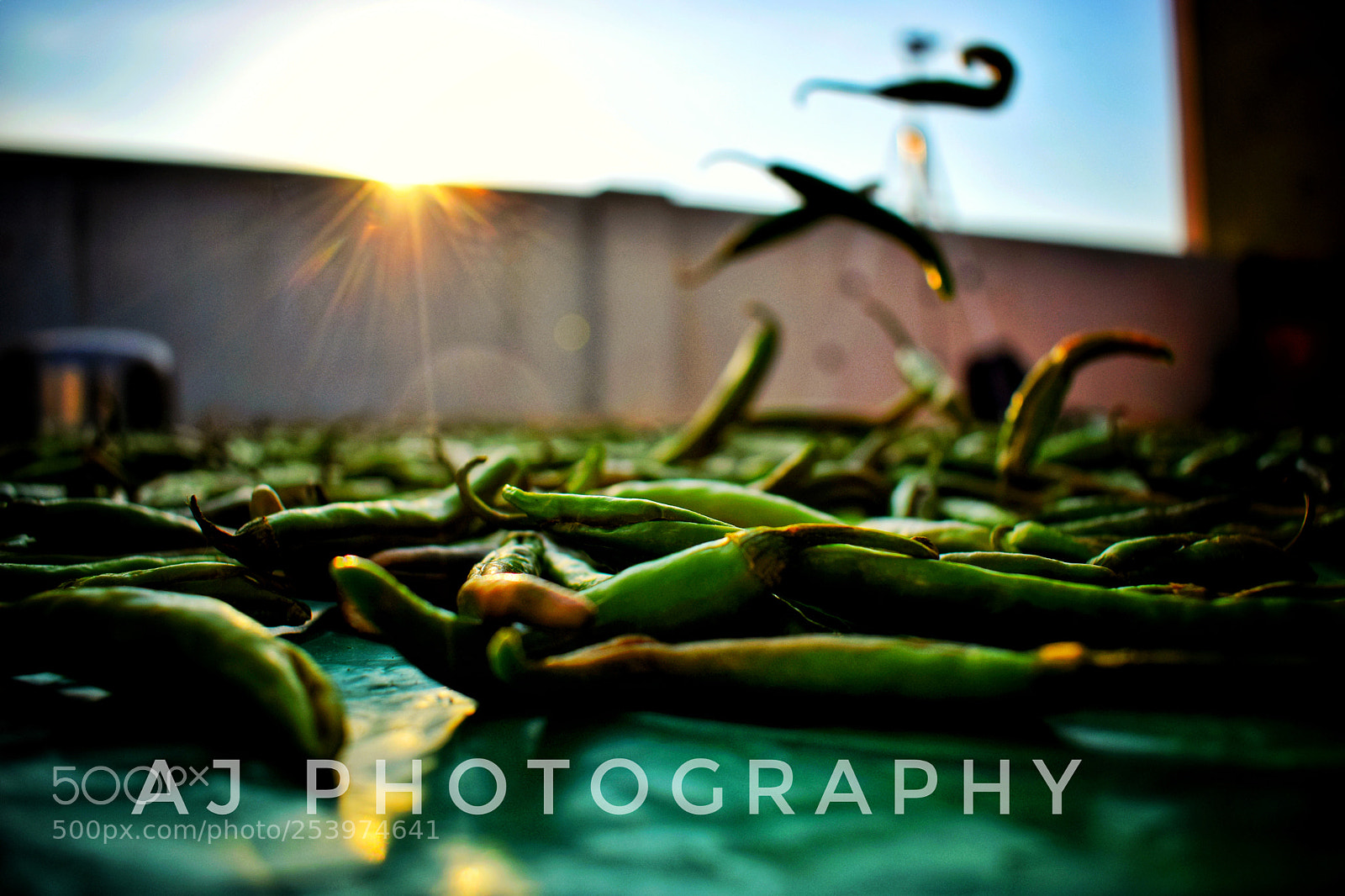 Nikon D5300 sample photo. Indian green chilie photography