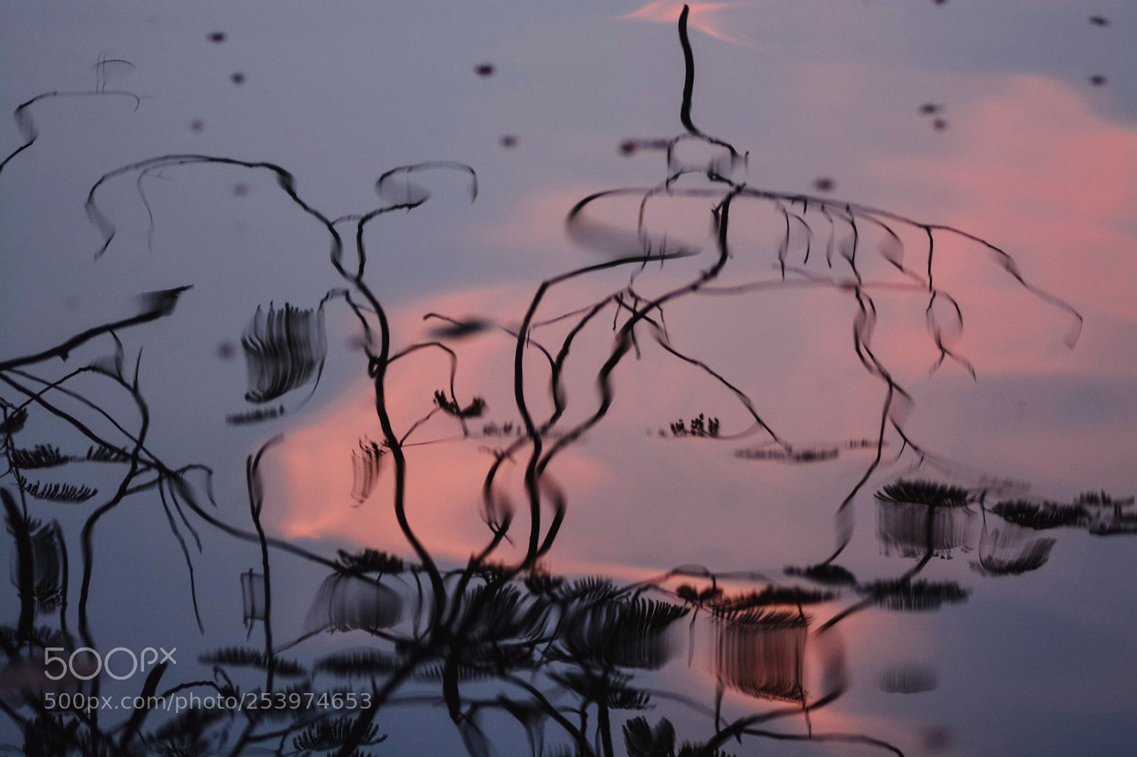 Nikon D7100 sample photo. Bst photography