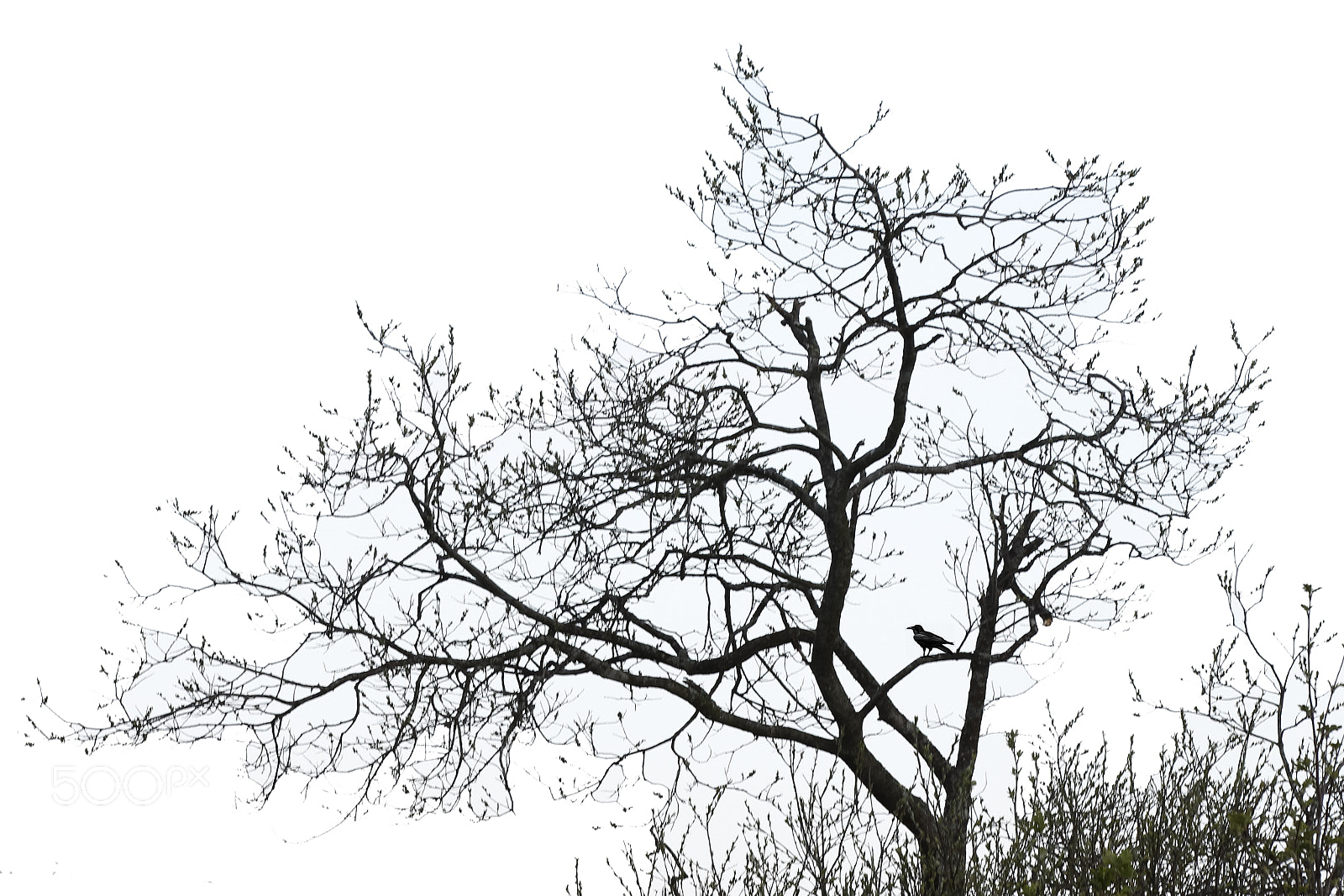 Canon EOS-1D Mark IV sample photo. Landscape in norway photography