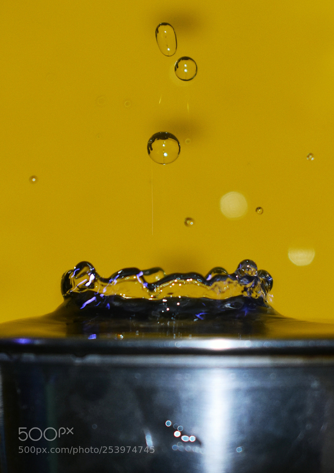 Nikon D3400 sample photo. Crown ? photography