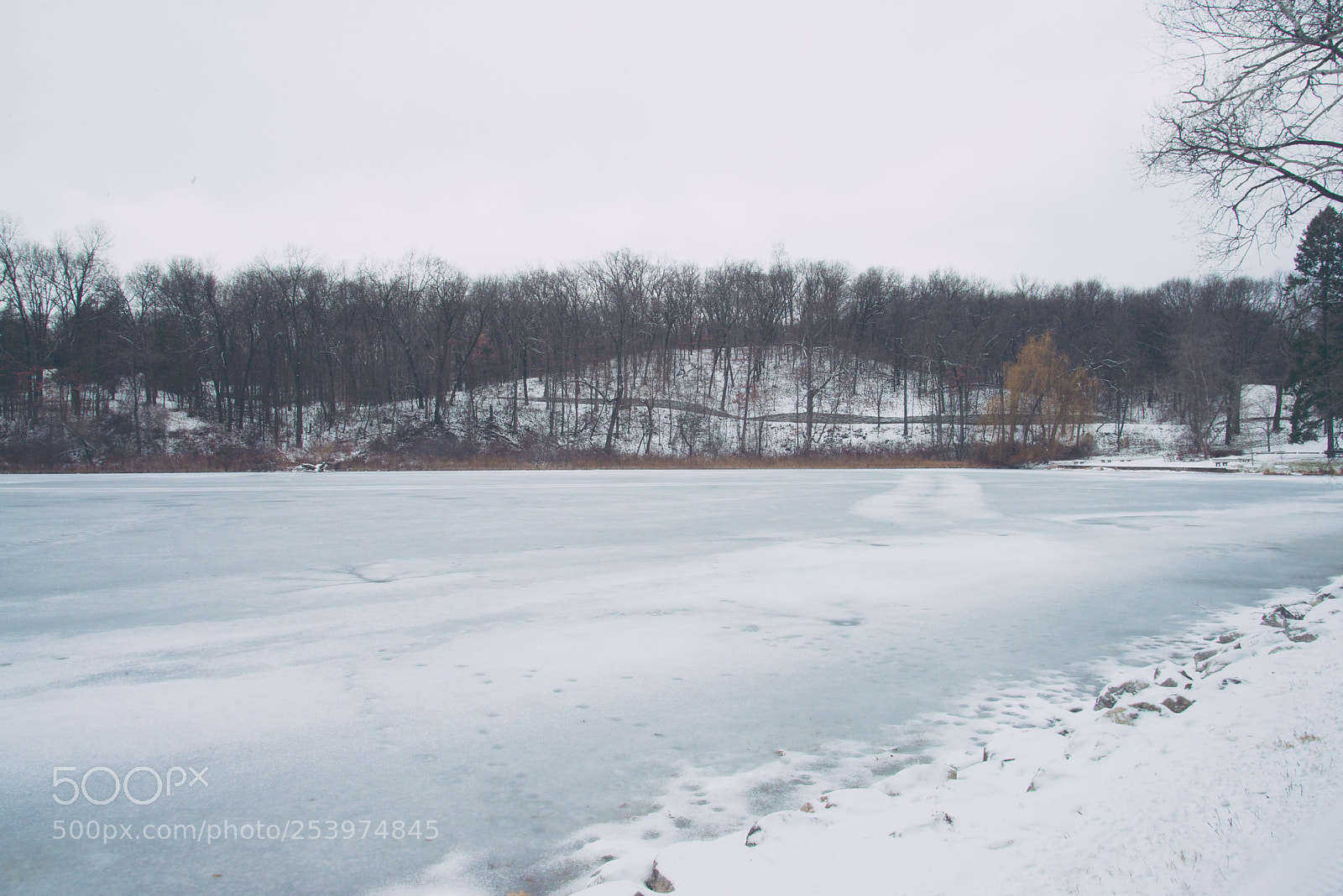 Nikon D600 sample photo. Frozen over photography
