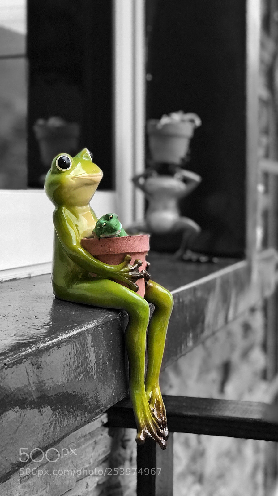 Apple iPhone 7 Plus sample photo. Frog  photography