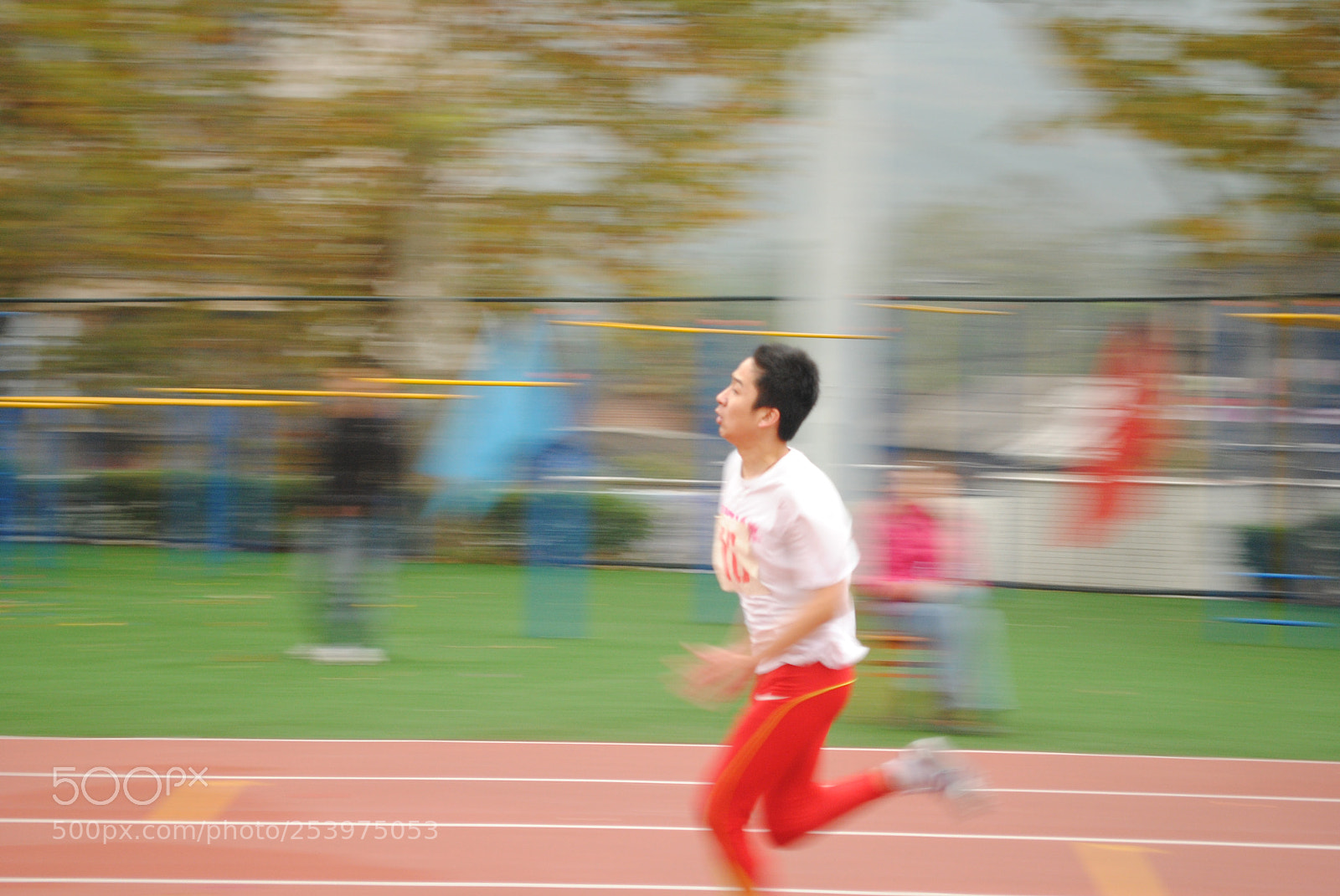 Nikon D3000 sample photo. Untitled photography