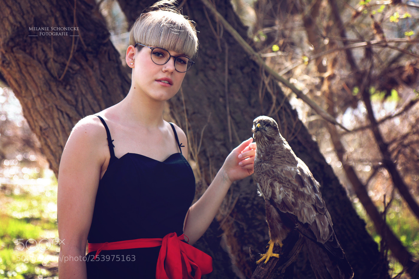 Canon EOS 70D sample photo. The beauty  the bird photography