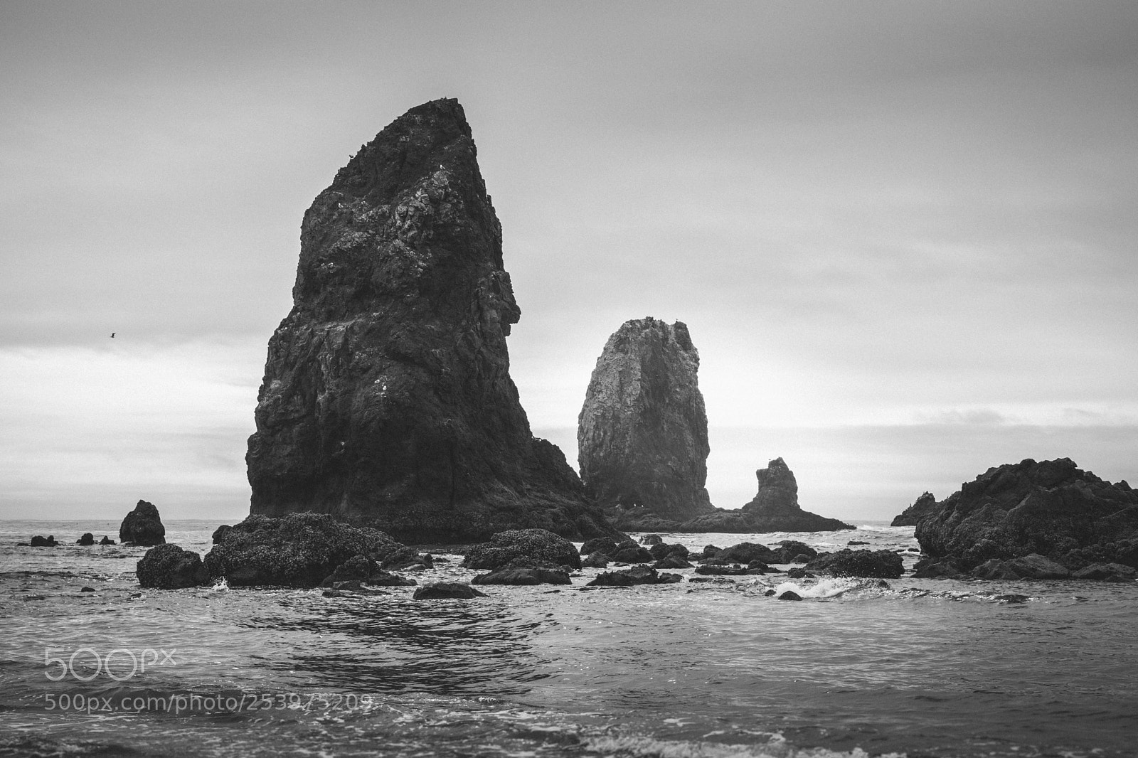 Nikon D5500 sample photo. Haystack rock's little brother photography