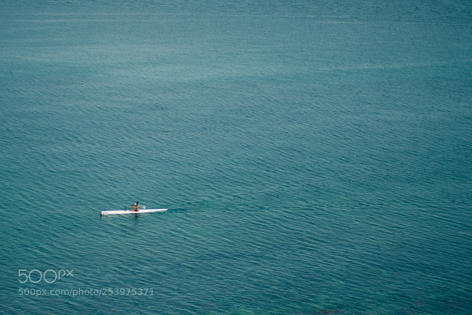 Nikon D800 sample photo. Lonely rower photography
