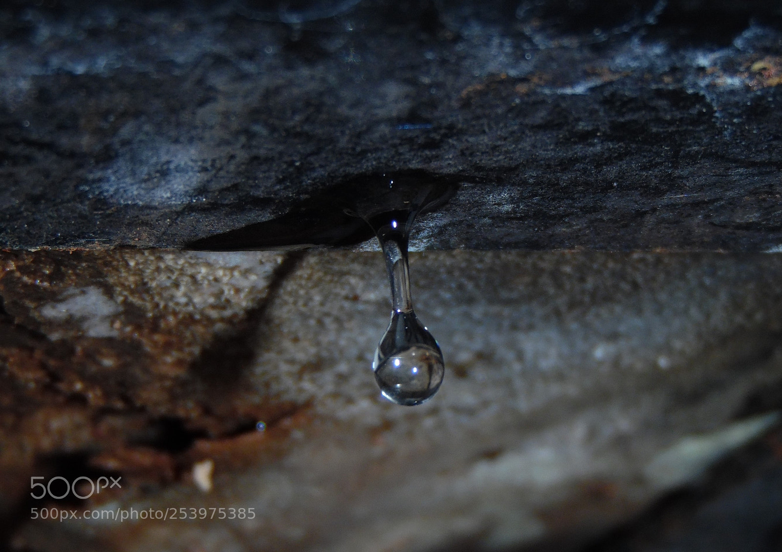 Samsung WB1100F/WB1101F/WB1102F sample photo. "paciencia" photography