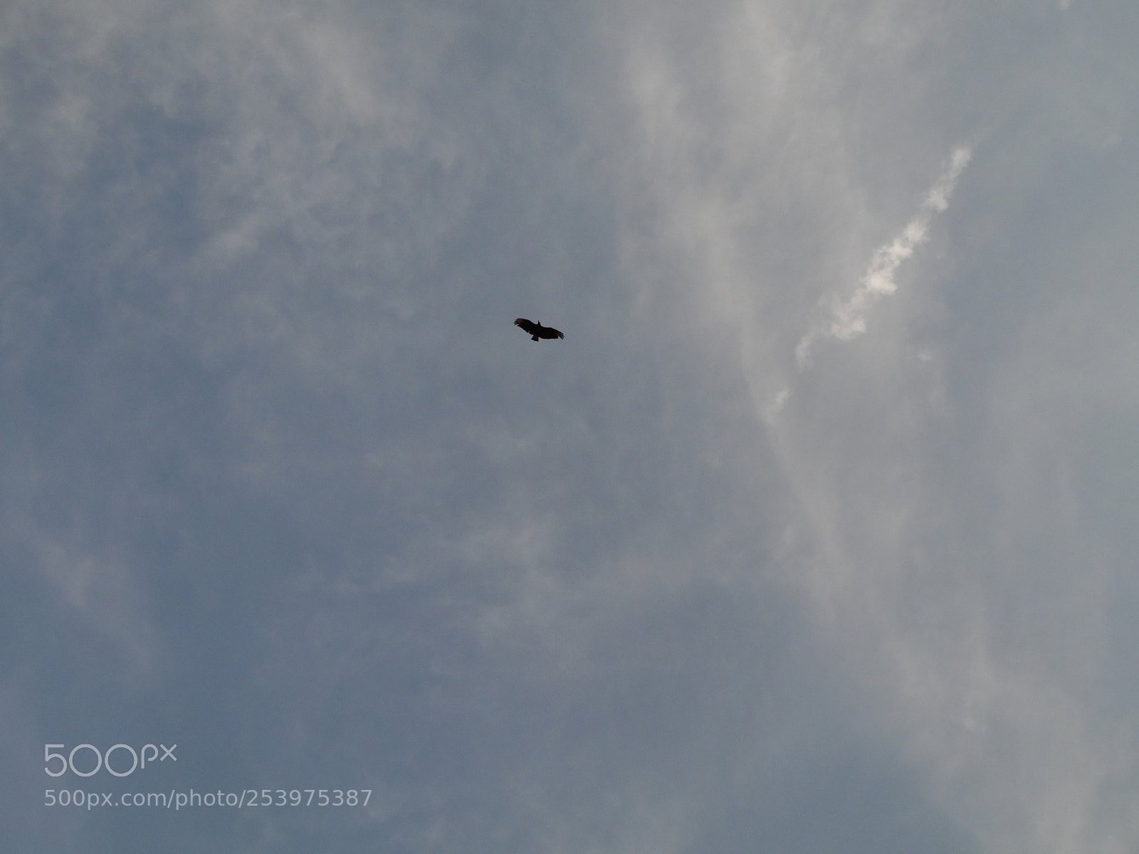 Samsung WB1100F/WB1101F/WB1102F sample photo. "explora el cielo" photography