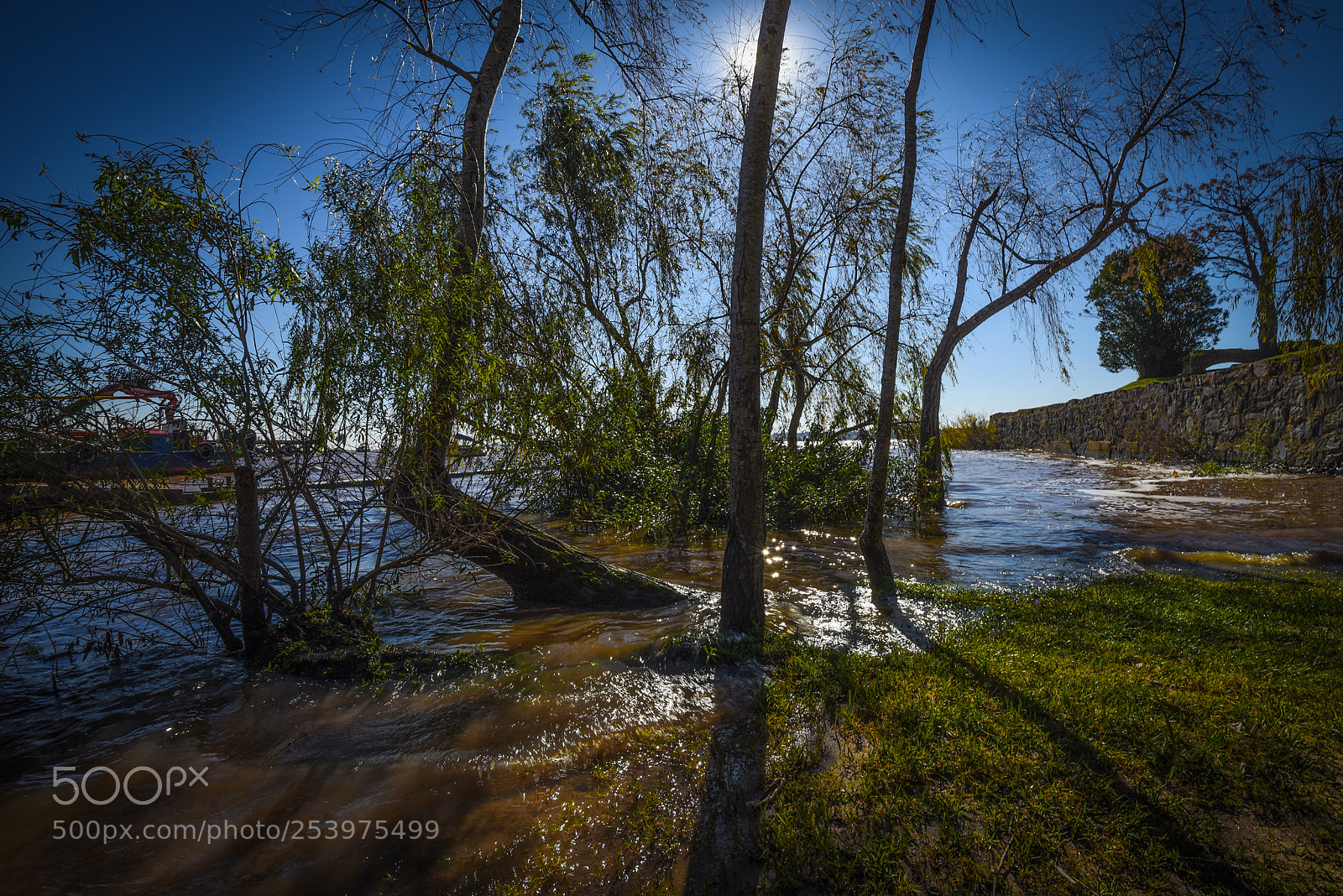 Nikon D810 sample photo. Hidden sun photography