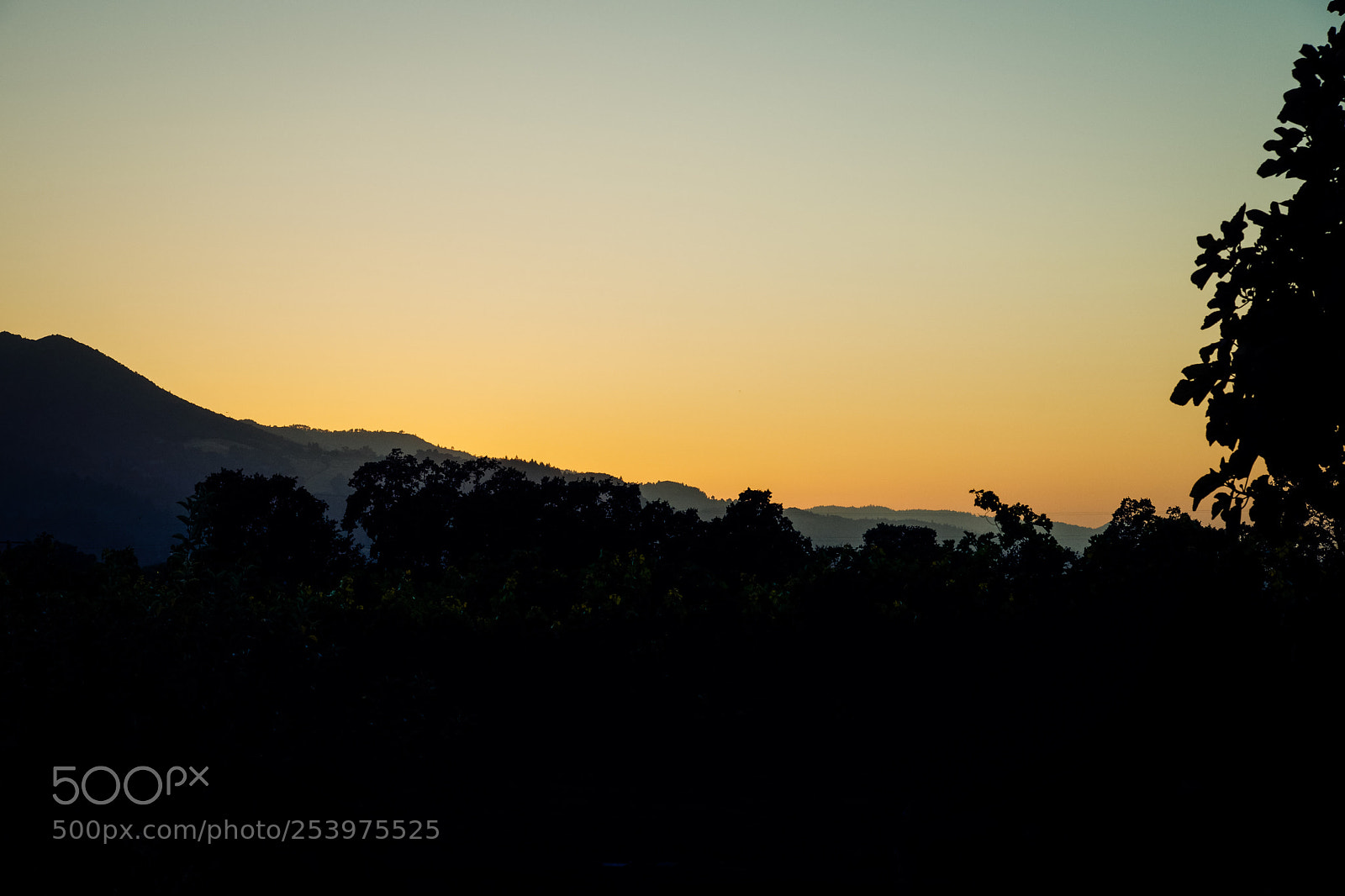 Sony SLT-A77 sample photo. Napa hills photography