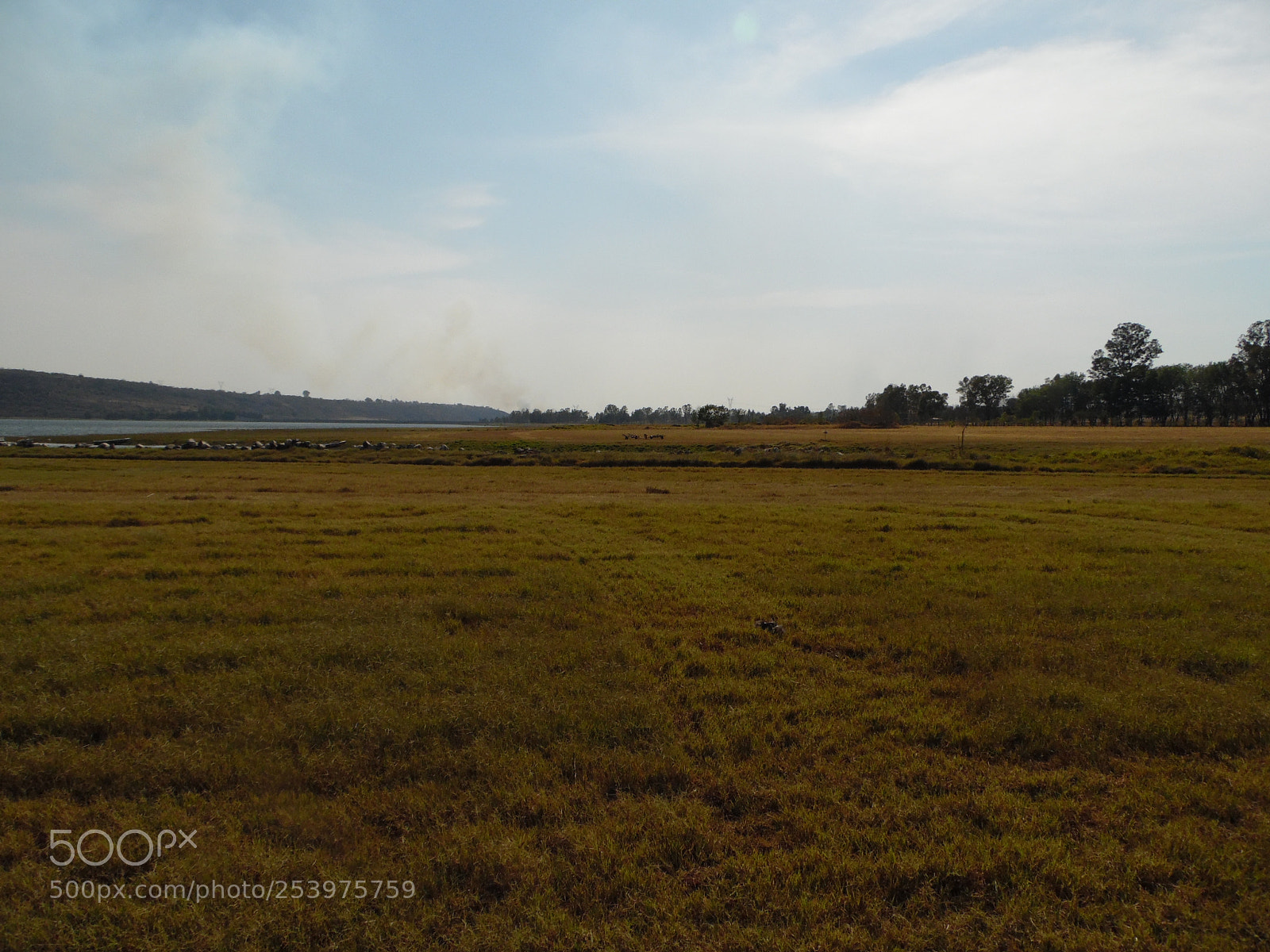 Samsung WB1100F/WB1101F/WB1102F sample photo. "campo" photography