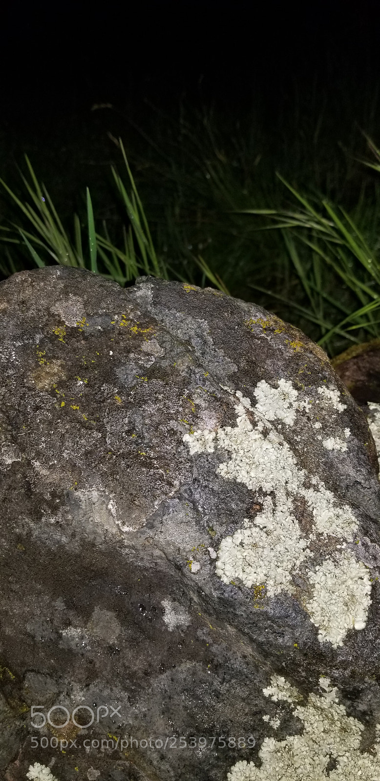 Samsung Galaxy S8+ sample photo. Rock close up photography