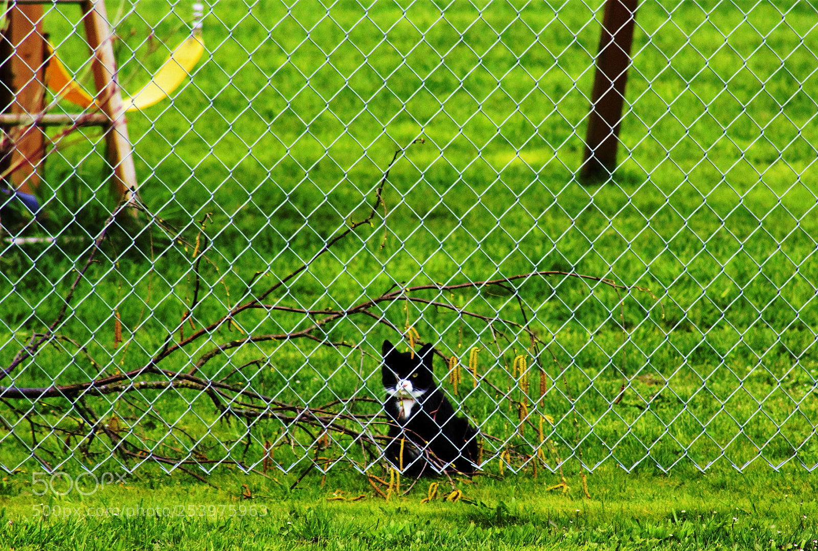Canon EOS 60D sample photo. What s wrong outside photography