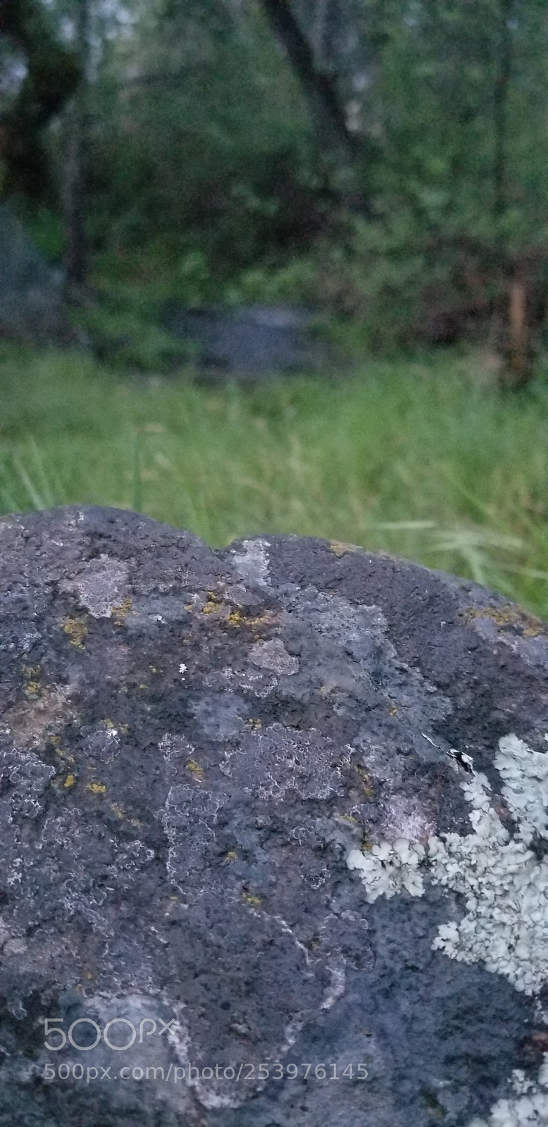 Samsung Galaxy S8+ sample photo. Rock focus photography