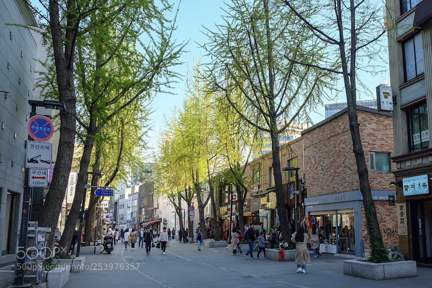 Fujifilm X-T10 sample photo. Its spring in korea photography