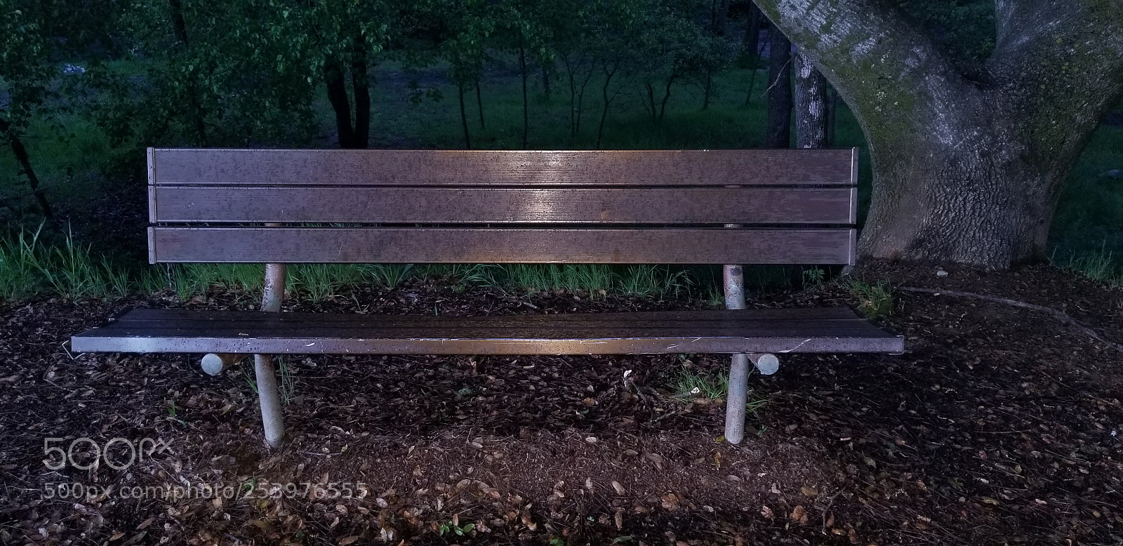 Samsung Galaxy S8+ sample photo. Night bench photography
