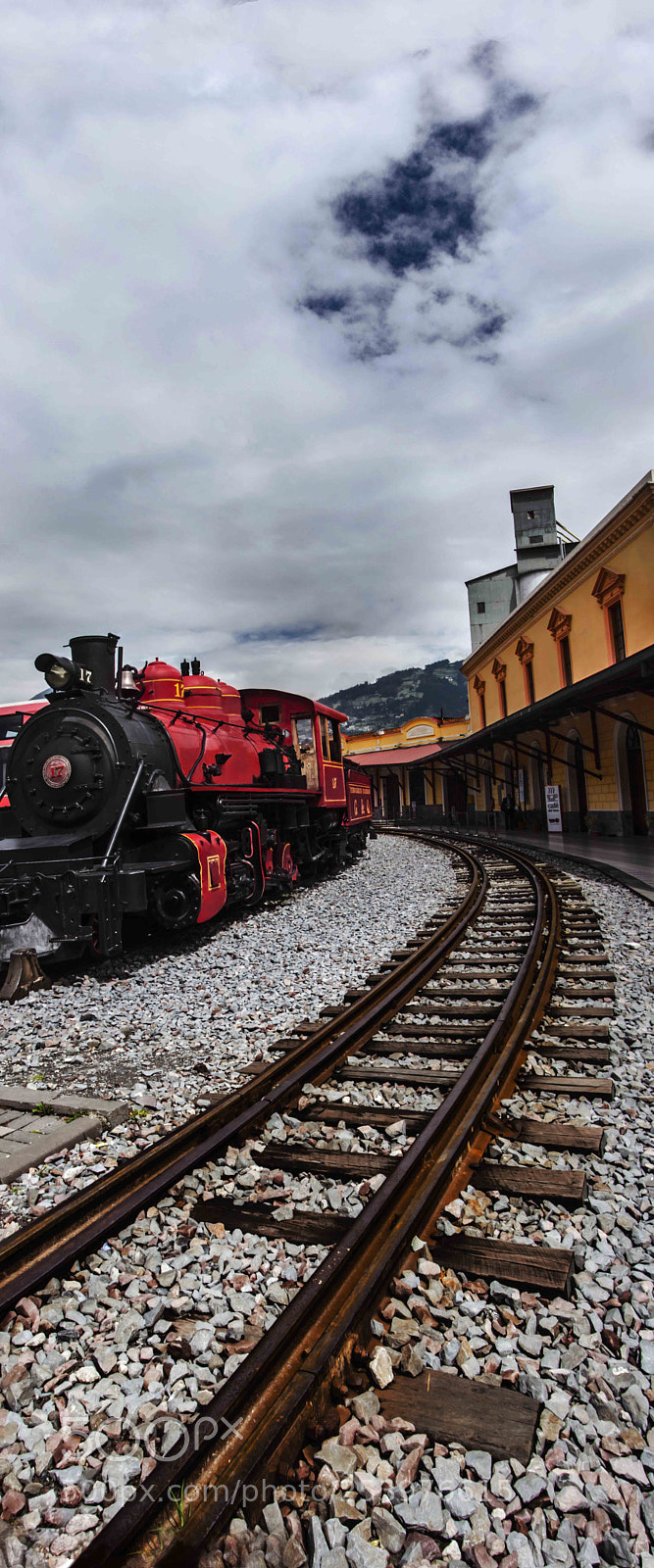 Nikon D5100 sample photo. Tren al cielo photography