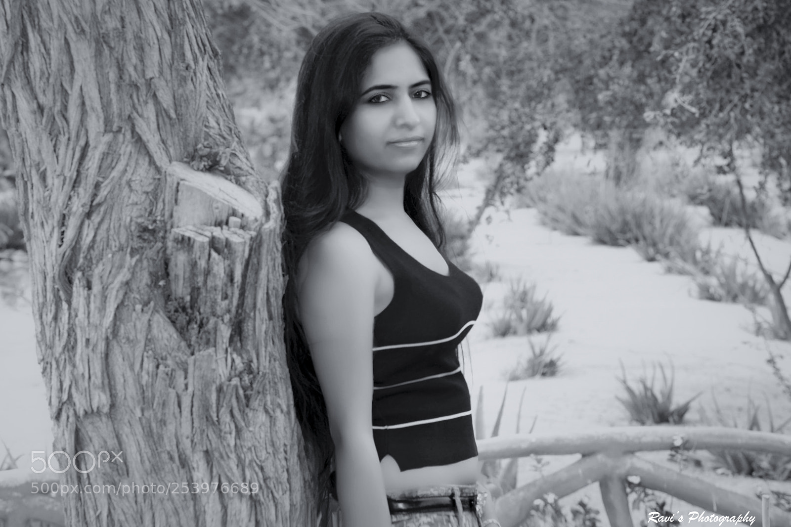 Nikon D5300 sample photo. Pretty photography
