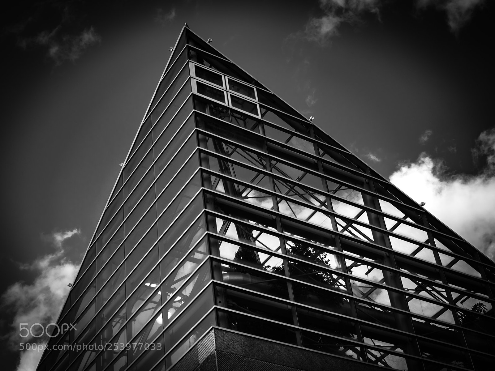 Nikon D5500 sample photo. Tennessee aquarium photography