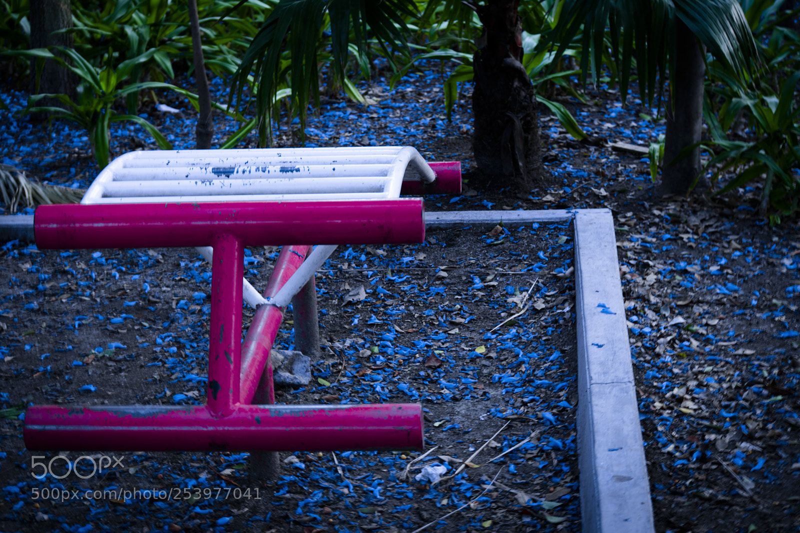 Nikon D3400 sample photo. Untitled photography