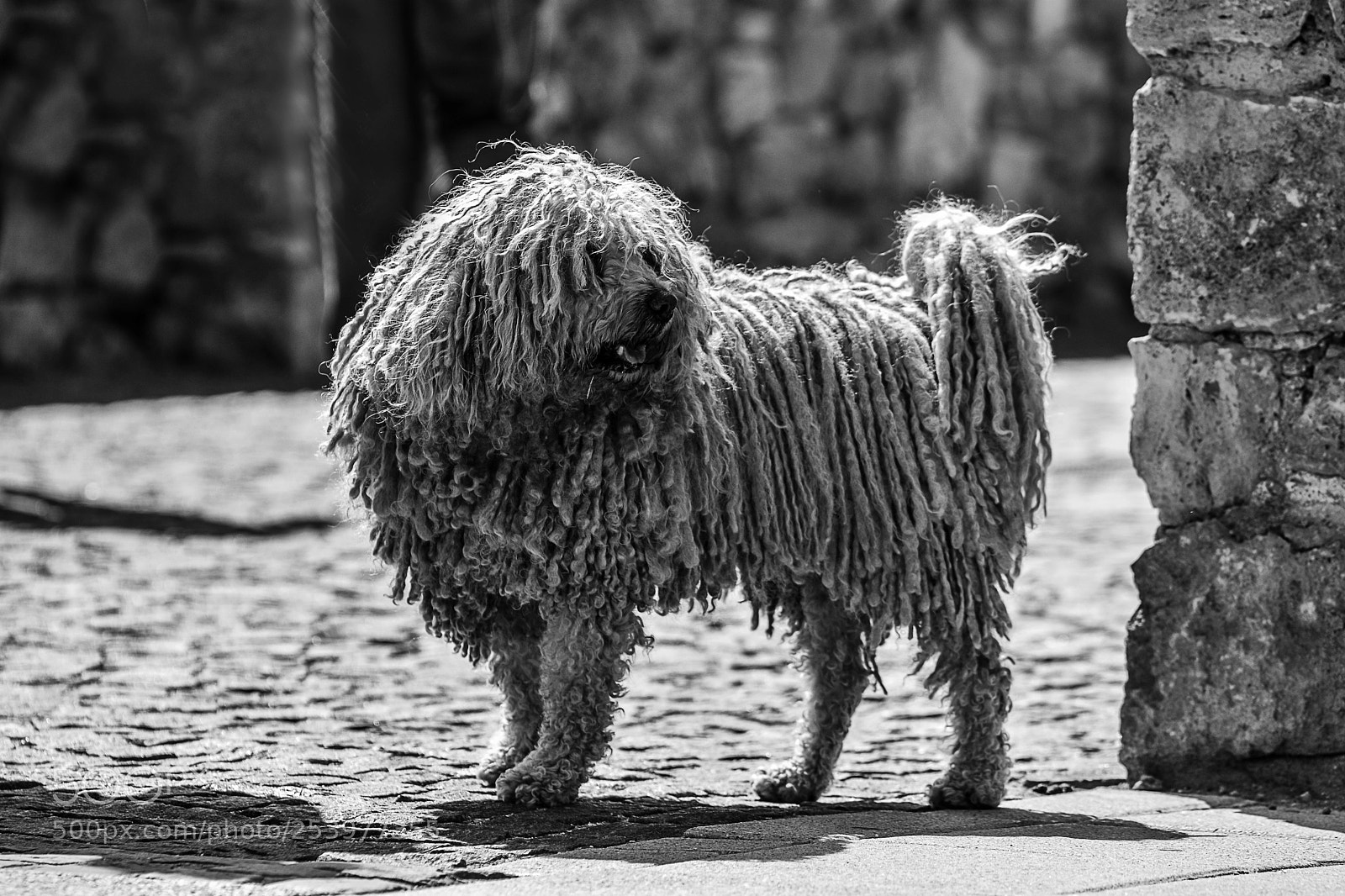 Nikon D7100 sample photo. Untitled photography
