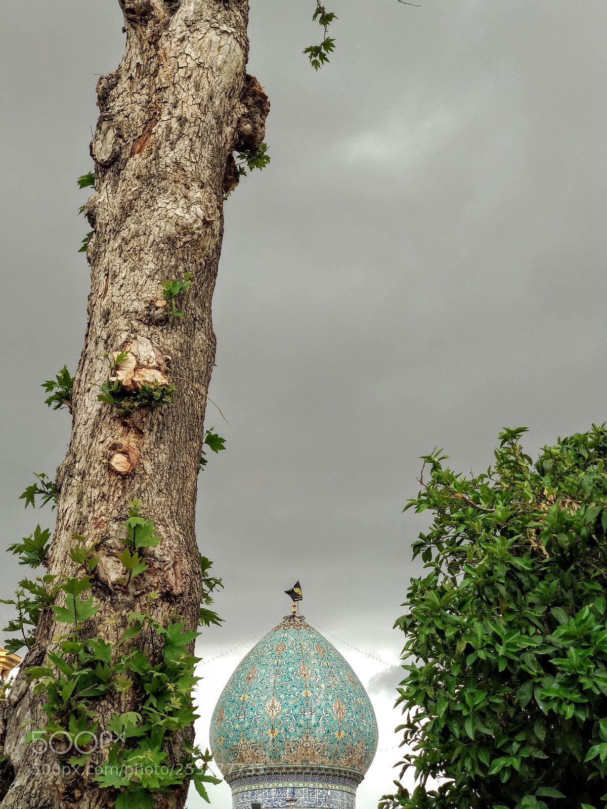 Xiaomi Mi A1 sample photo. Shahcheragh photography